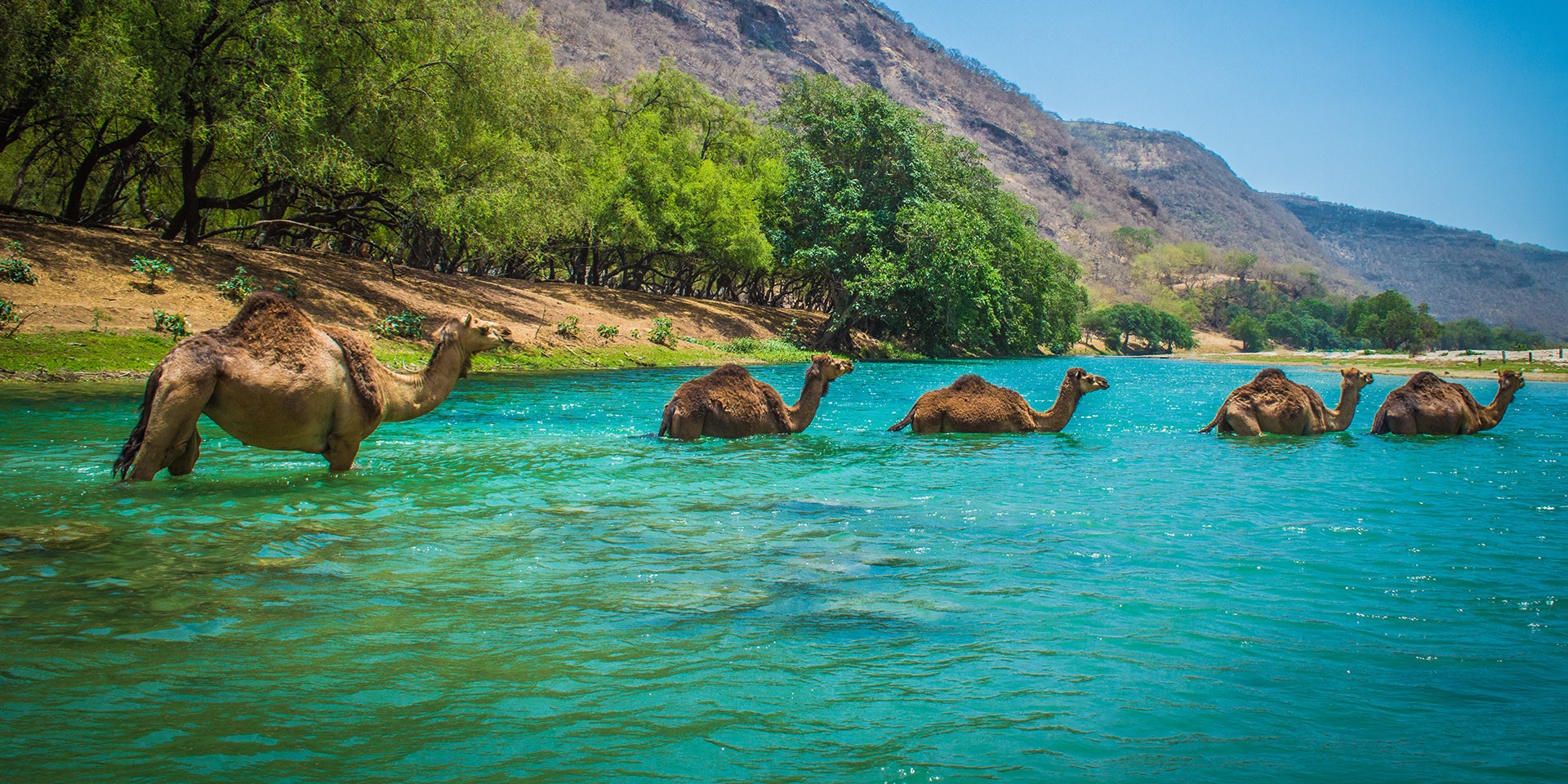 What Is Khareef Season? Why Do Omani's Get Excited About It?